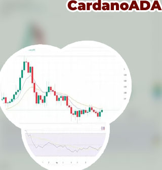 Ada value crypto