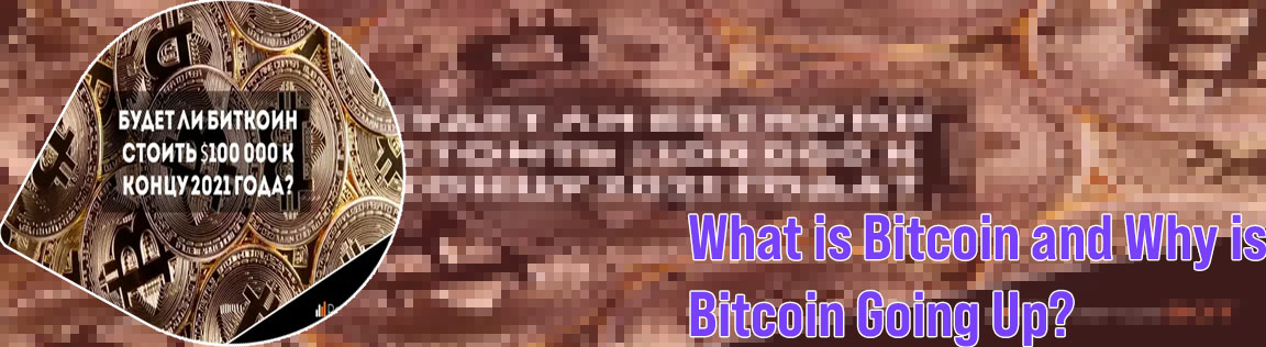 What are bitcoins worth