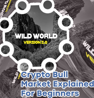 Wild world crypto