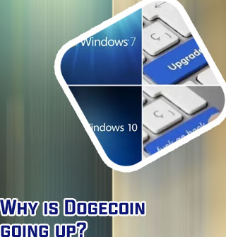 Willdogecoin go back up